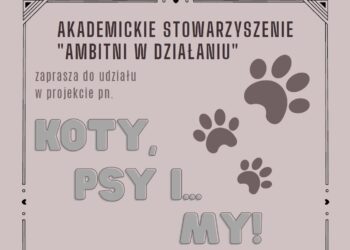Koty, Psy i… My!