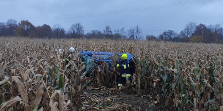Auto w polu kukurydzy. Nastoletni kierowca w szpitalu