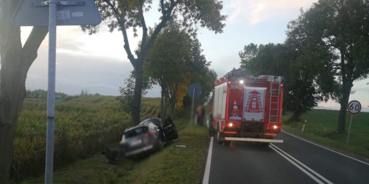 Samochód w rowie. Kierująca dostała mandat