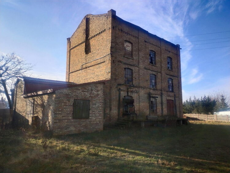 fot. Muzeum Mazowieckie w Płocku