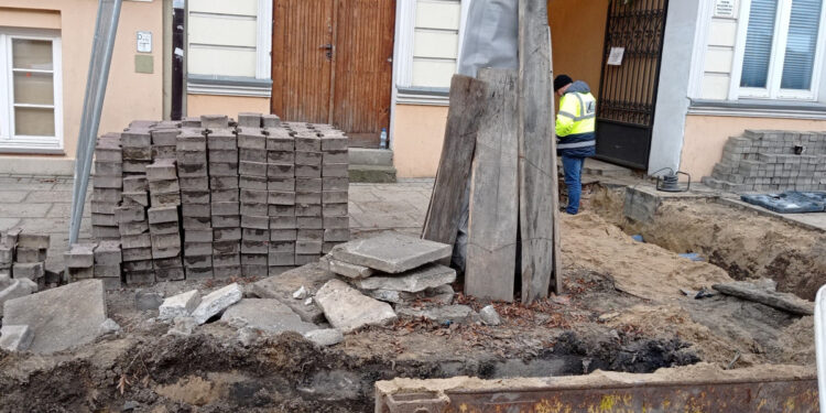 Płocczanie: Czy drzewa podczas inwestycji są prawidłowo chronione? I co z Dębem Broniewskiego?