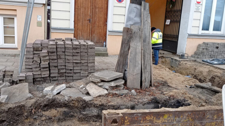 Fot. Płock dla drzew