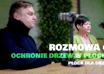 Rozmowa o… #2 Ochrona drzew w Płocku – Płock dla Drzew [WYWIAD]