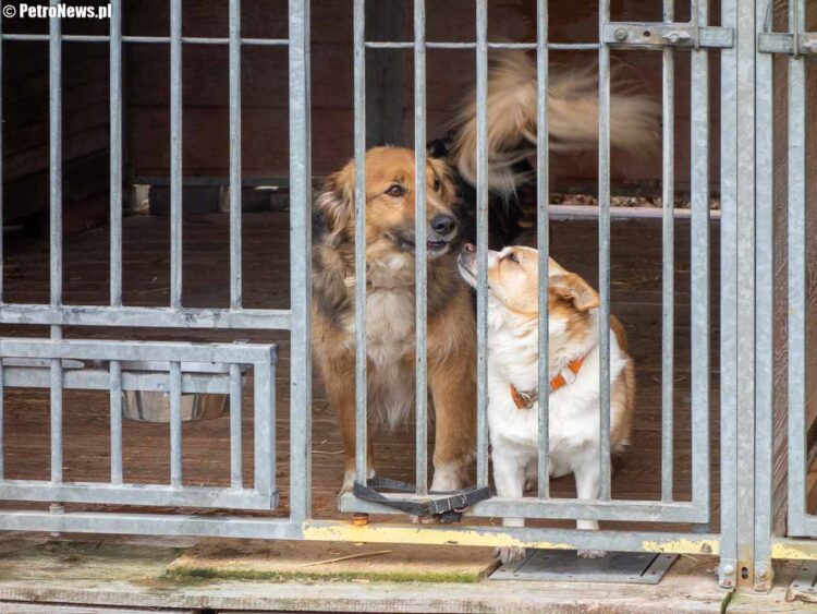 fot. Wiktor Pleczyński