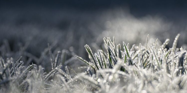 Może zrobić się niebezpiecznie mroźno w regionie