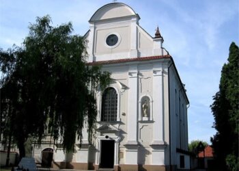 Koncert muzyki organowej i kameralnej. Wystąpią uczniowie płockiej Szkoły Muzycznej [WSTĘP WOLNY]