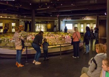 Czarująca Noc Muzeów w Płocku [ZDJĘCIA]