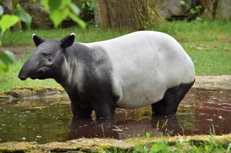 fot. ZOO Płock