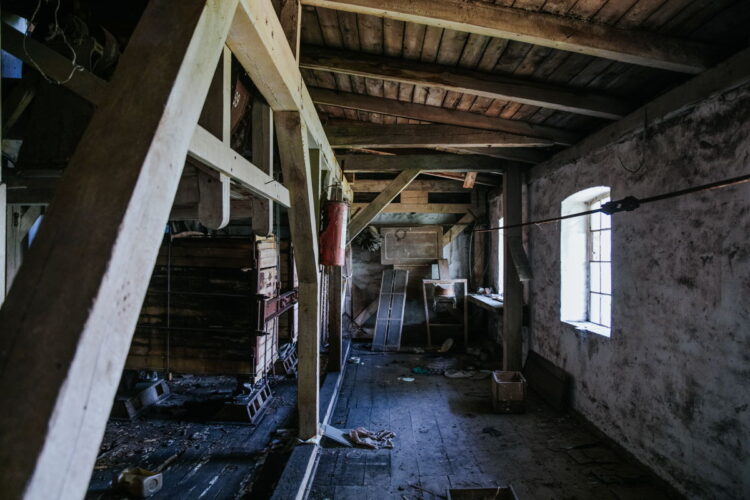 fot. Urząd Miasta Płocka