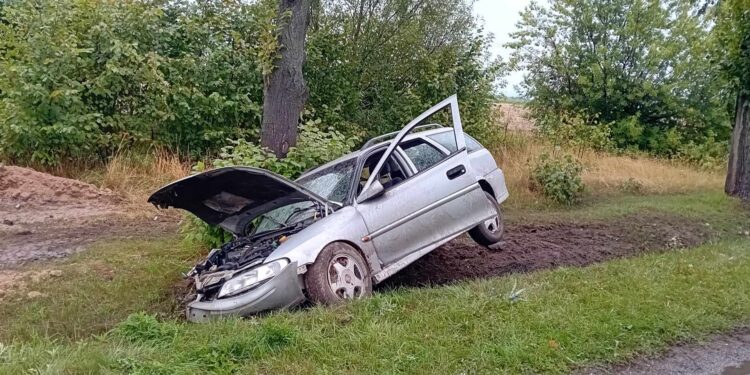 I znów pijany kierowca. Autem uderzył w drzewo [ZDJĘCIA]