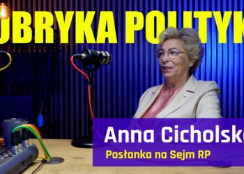 Anna Cicholska o pracy w Sejmie. Rubryka Polityka #28 [PODCAST]