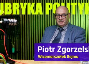 Piotr Zgorzelski – Rubryka Polityka #25 [PODCAST]