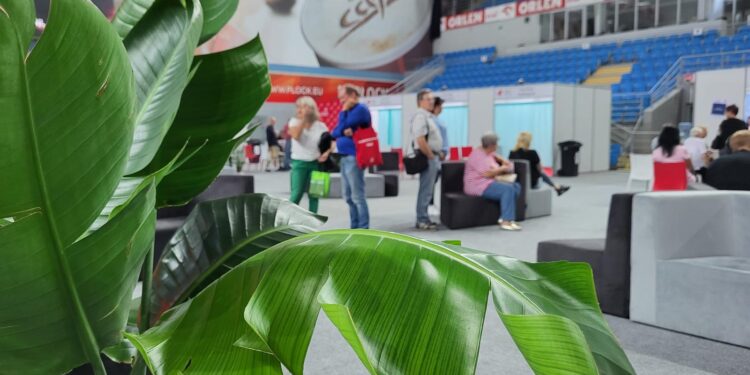 Miasteczko Zdrowia z rekordową frekwencją [FILM, ZDJĘCIA]