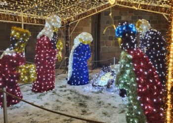 Płockie Ogrody Światła znów zabłysły na Wzgórzu Tumskim! [FILM, ZDJĘCIA]