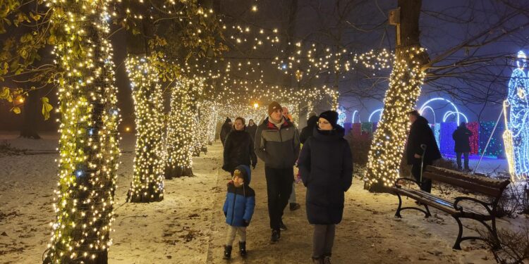 Płockie Ogrody Światła znów zabłysły na Wzgórzu Tumskim! [FILM, ZDJĘCIA]