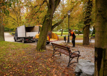 Trwają prace przy drzewach na Tumach. Co się dzieje?