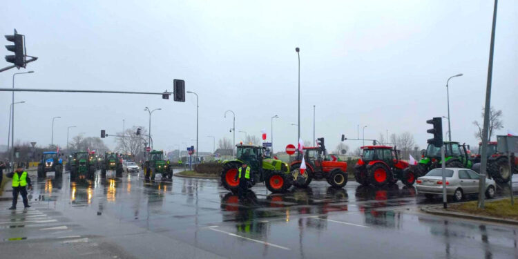 Rolnicy wjechali do Płocka. Protestują też w całej Polsce [FILM, ZDJĘCIA]