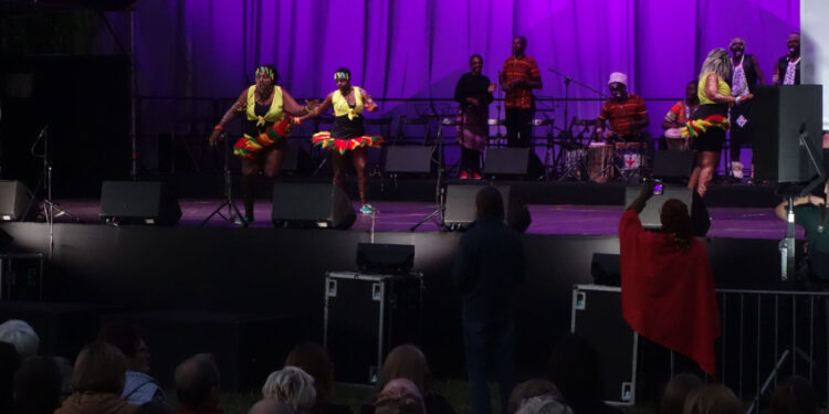 Vistula Folk Festival 2024 w Płocku [ZDJĘCIA]