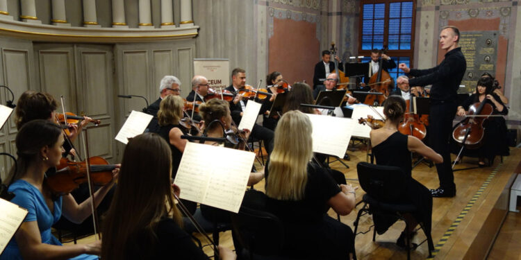 Piękny koncert płockich symfoników w Małachowiance [ZDJĘCIA]