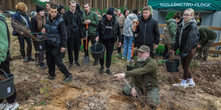 Akcja sadzenia drzew w powiecie płockim. Posadzono ok. 3 tys. sadzonek!