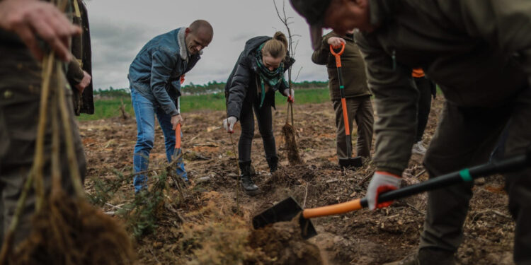 Akcja sadzenia drzew w powiecie płockim. Posadzono ok. 3 tys. sadzonek!