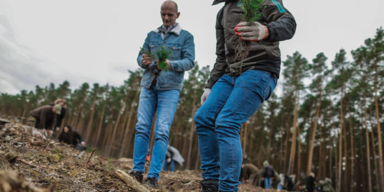 Akcja sadzenia drzew w powiecie płockim. Posadzono ok. 3 tys. sadzonek!