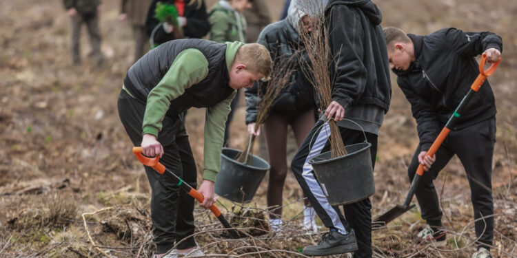 Akcja sadzenia drzew w powiecie płockim. Posadzono ok. 3 tys. sadzonek!