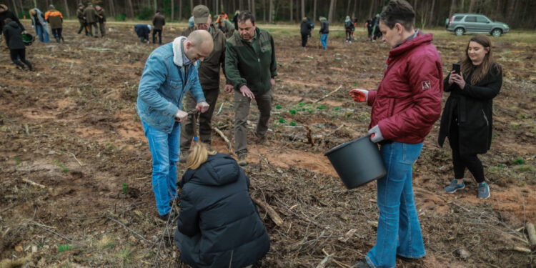 Akcja sadzenia drzew w powiecie płockim. Posadzono ok. 3 tys. sadzonek!