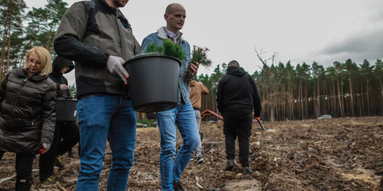 Akcja sadzenia drzew w powiecie płockim. Posadzono ok. 3 tys. sadzonek!