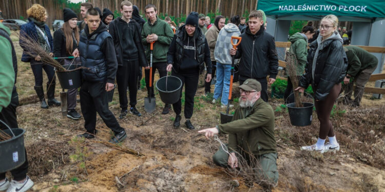 Akcja sadzenia drzew w powiecie płockim. Posadzono ok. 3 tys. sadzonek!