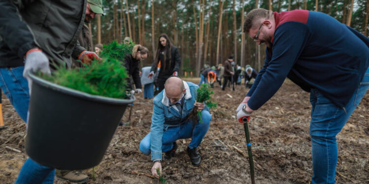 Akcja sadzenia drzew w powiecie płockim. Posadzono ok. 3 tys. sadzonek!
