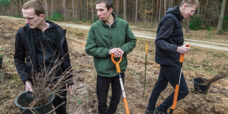 Akcja sadzenia drzew w powiecie płockim. Posadzono ok. 3 tys. sadzonek!