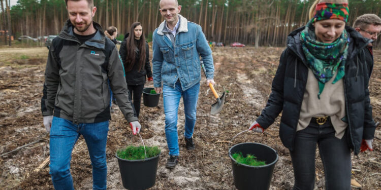 Akcja sadzenia drzew w powiecie płockim. Posadzono ok. 3 tys. sadzonek!