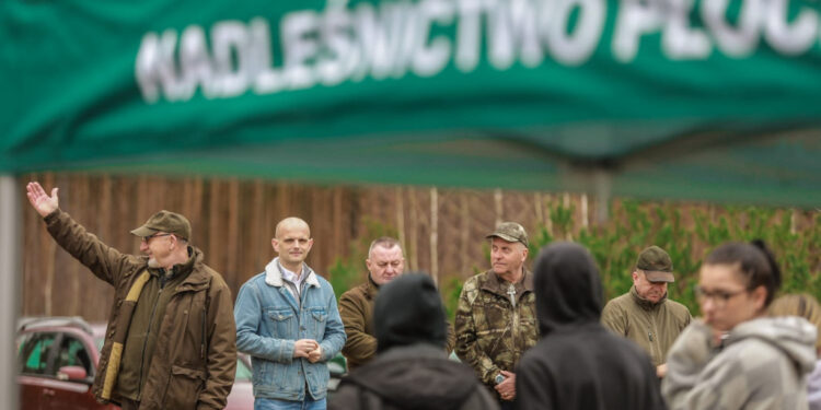 Akcja sadzenia drzew w powiecie płockim. Posadzono ok. 3 tys. sadzonek!