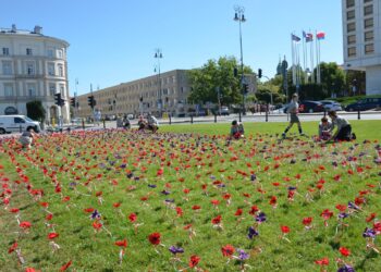 Część maków wróciła na Plac Piłsudskiego