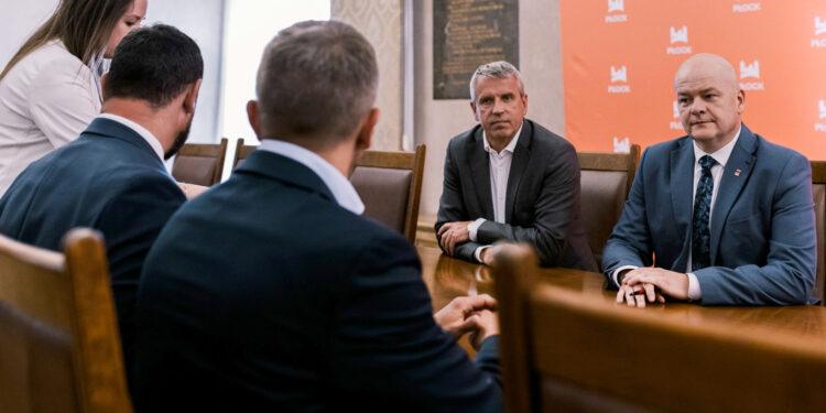 Ponad 30 milionów złotych na ochronę Płocka przed skutkami zmian klimatu