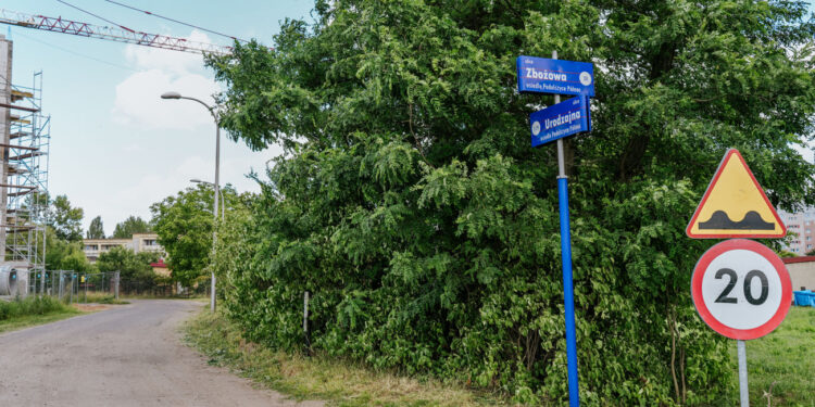 Rusza przetarg na przebudowę dwóch płockich ulic