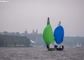 Żeglarskie Mistrzostwa Polski w klasie MICRO odbędą się w Płocku