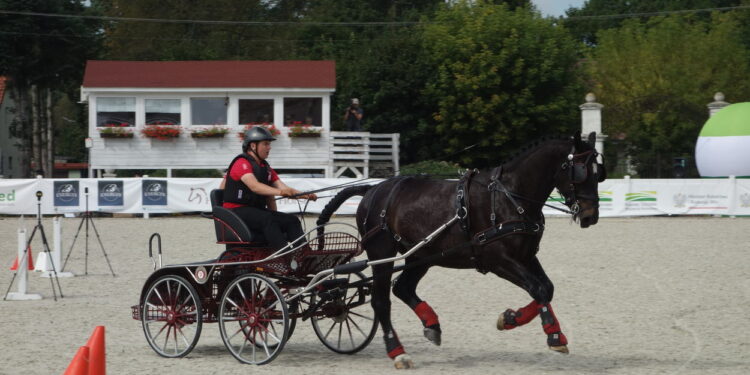 To był emocjonujący test dla koni i woźniców. W Łącku rozegrano mistrzostwa w powożeniu [ZDJĘCIA]