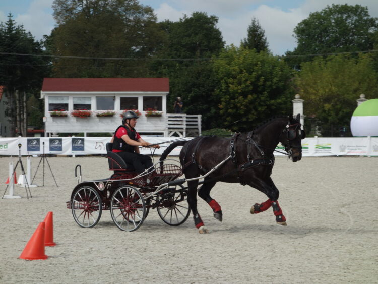 fot. Józef Pleczyński