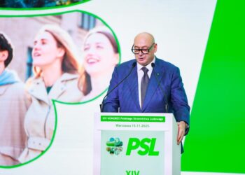 Płocki polityk przewodniczącym Rady Naczelnej PSL