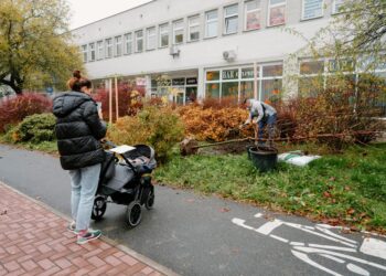 Kolejne drzewa będą rosły z młodymi płocczanami