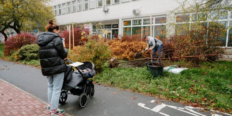 Kolejne drzewa będą rosły z młodymi płocczanami