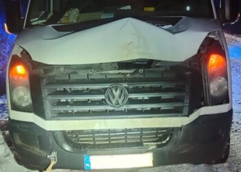 Zderzenie z łosiem. Policja apeluje