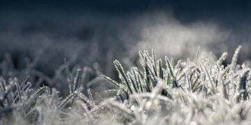 Mróz zabija kolejne osoby