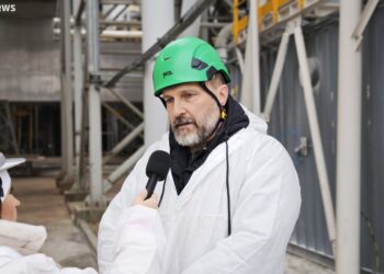 Budki już czyste. Na kominach ORLENU zacznie się nowy sezon lęgowy