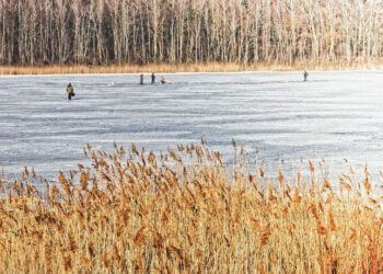 Robią sobie selfie na lodzie. Jak to się kończy? [FILM]