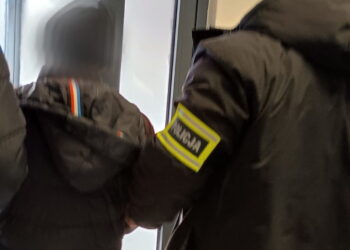 Mężczyzna zatrzymany za znęcanie się nad psami