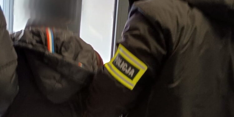 Mężczyzna zatrzymany za znęcanie się nad psami