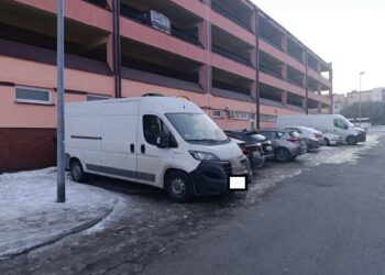 Zostawił psa w aucie na mrozie i… poszedł w gości